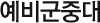 ߴ