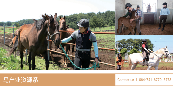 Contact us 82-64-741-6773