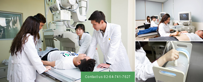 Contact us 82-64-741-7627