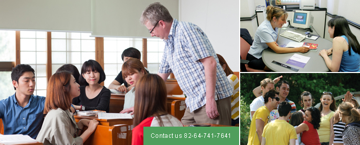 Contact us 82-64-741-7641