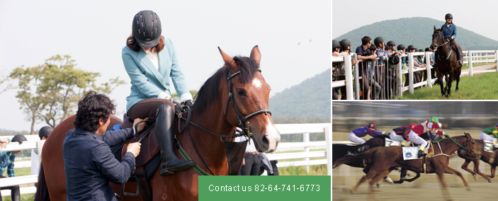 Contact us 82-64-741-6773