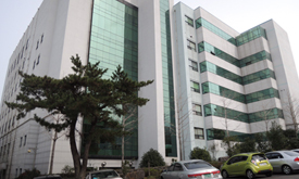 9. ȣ̷