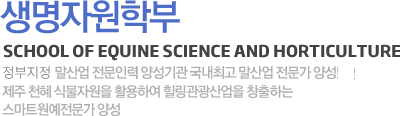 �����ڿ��к�(SCHOOL OF Equine Science) - ���ѹα��� ��ǥ�ϴ� �����ڿ��кο��� �ְ��� �� ����������� �ȴ�