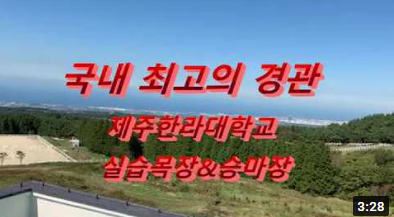 [Ʃ굿Ƹ äȦ] Ѷ ¸ Ұմϴ.